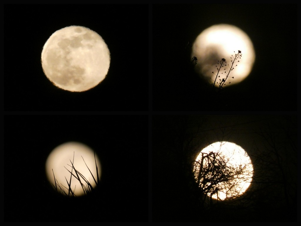 Pleine lune et ombres chinoises
