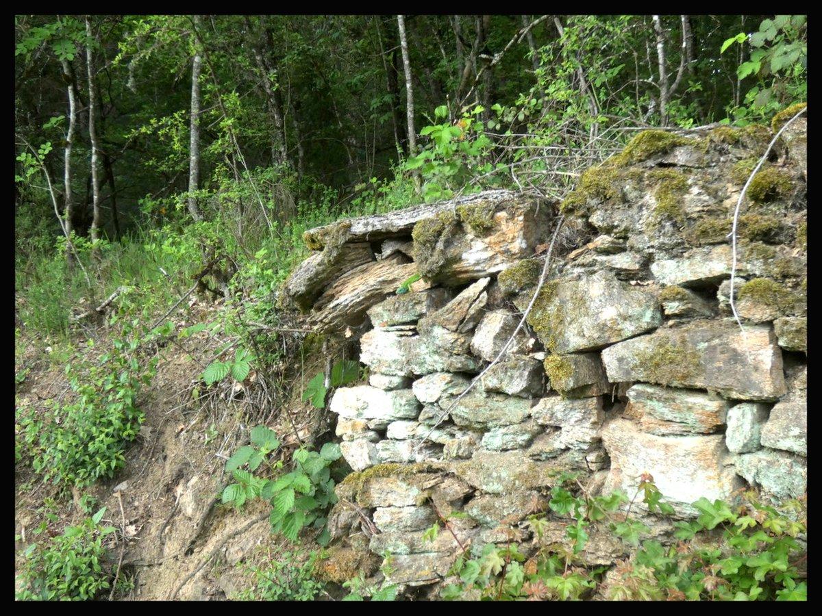 Muret au lézard